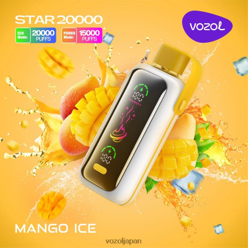 VOZOL Tokyo - マンゴーアイス VOZOL STAR 20000 4NR82V13