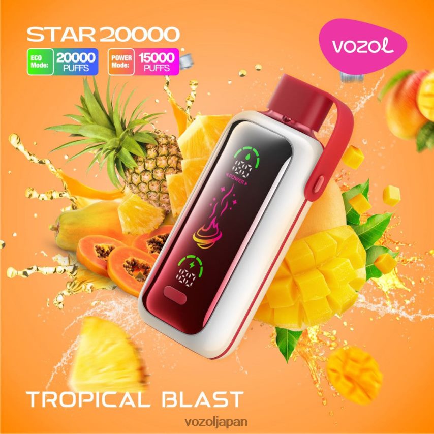 VOZOL 日本 - トロピカルブラスト VOZOL STAR 20000 4NR82V2