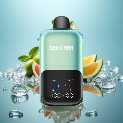 GEEK BAR 2GO 50000パフ 20mL デュアルタンク クールミントアイス