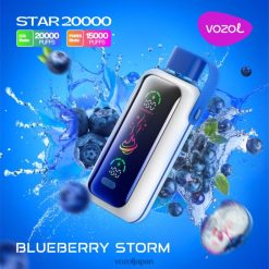 VOZOL Vape Review - ブルーベリーの嵐 VOZOL STAR 20000 4NR82V5